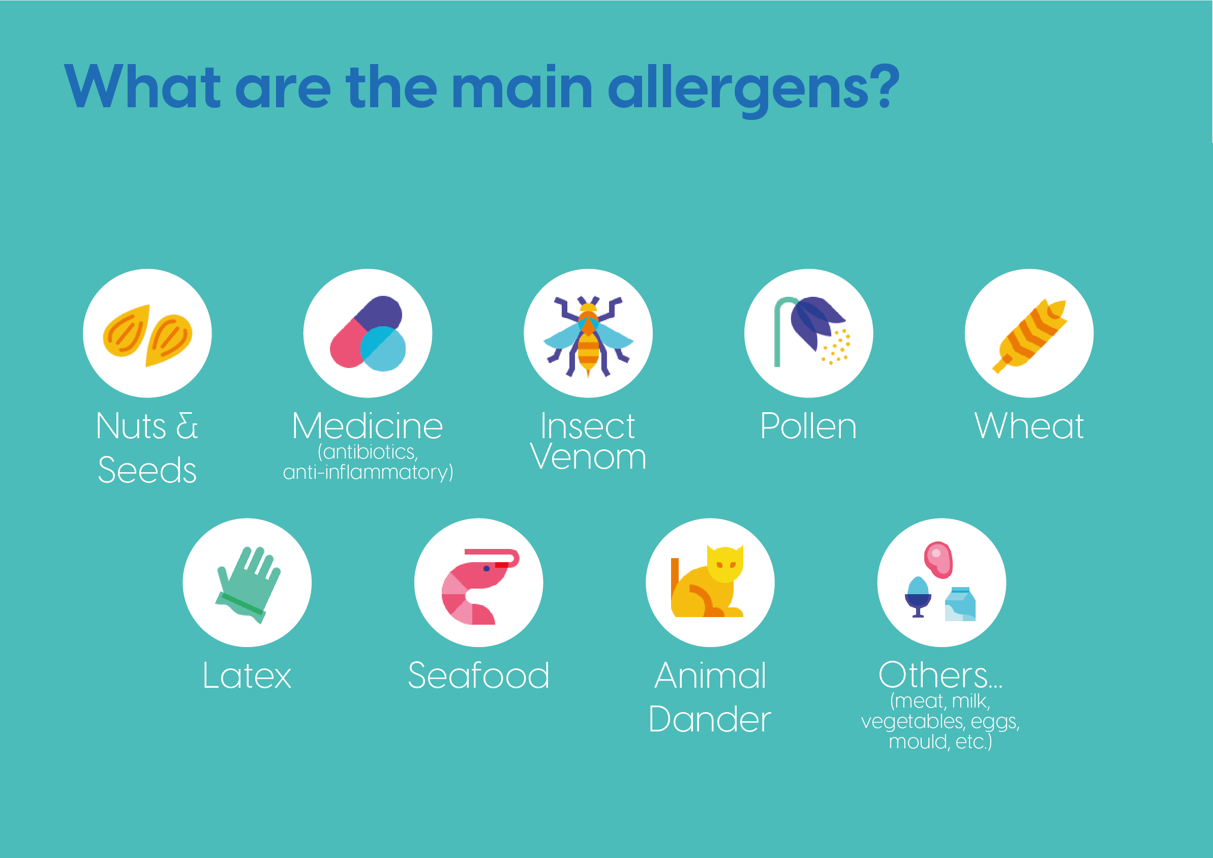 World Allergy Day